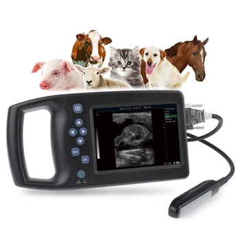 RS Болница за домашни любимци Пълен цифров ветеринарен ултразвук със сонда Ветеринарно оборудване за животни